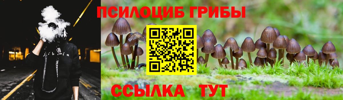 Галлюциногенные грибы прущие грибы  Вход с VPN  Мыски  Галлюциногенные грибы Psilocybe 